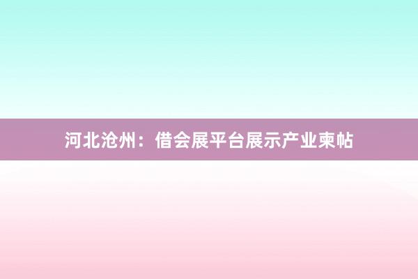 河北沧州：借会展平台展示产业柬帖